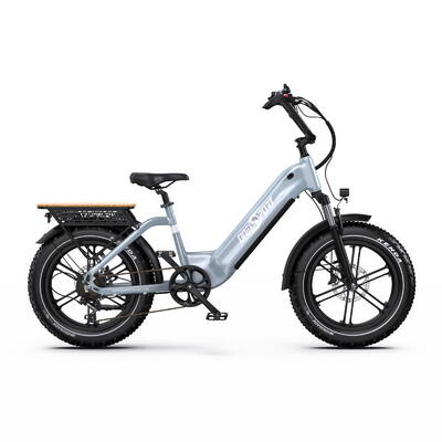 ONESPORT OT08 E-bike per adulti 500W 20 pollici bicicletta elettrica con pneu