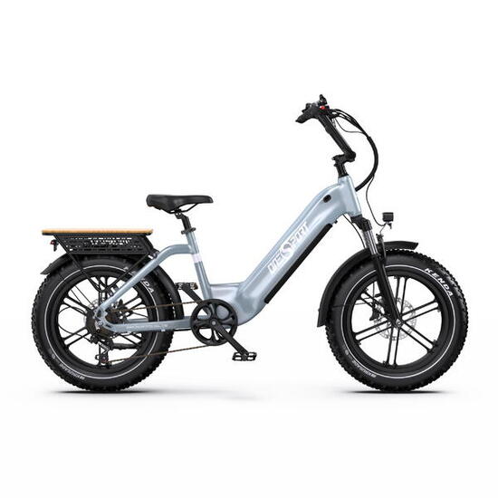 ONESPORT OT08 E-bike per adulti 500W 20 pollici bicicletta elettrica con pneu