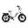 Bicicletă electrică all-terrain ONESPORT OT08, baterie de 48V 18Ah