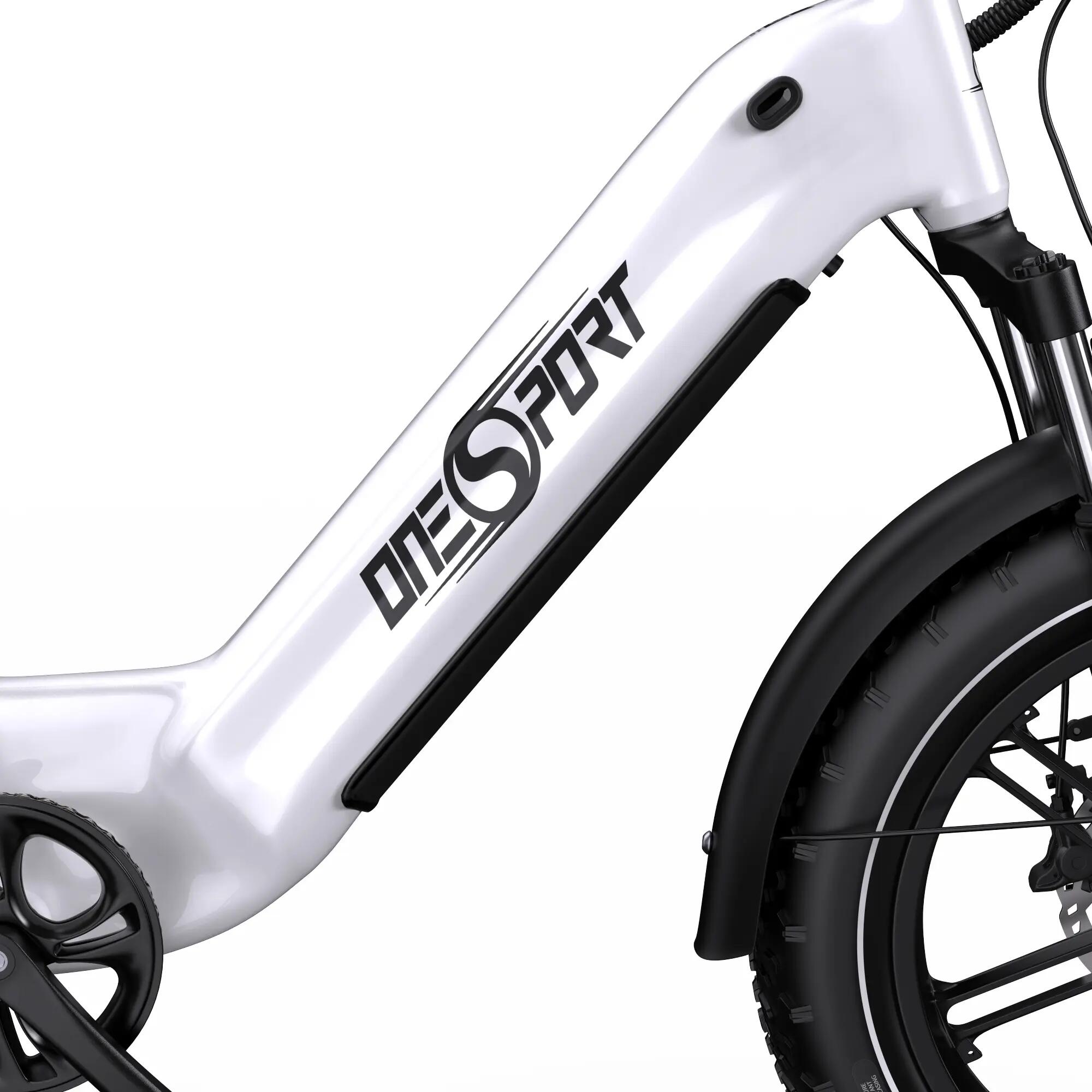 Bicicletta elettrica per adulti OT08: batteria 48V 18Ah. 9/10