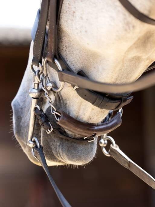 Protection pour gourmette pour cheval LeMieux Curb Chain 3/7