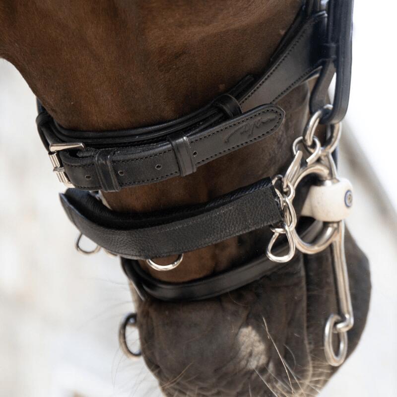 Horse feed guard Dy'on 5/7