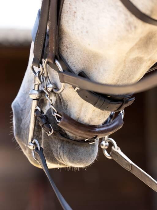 Protection pour gourmette pour cheval LeMieux Curb Chain 6/7