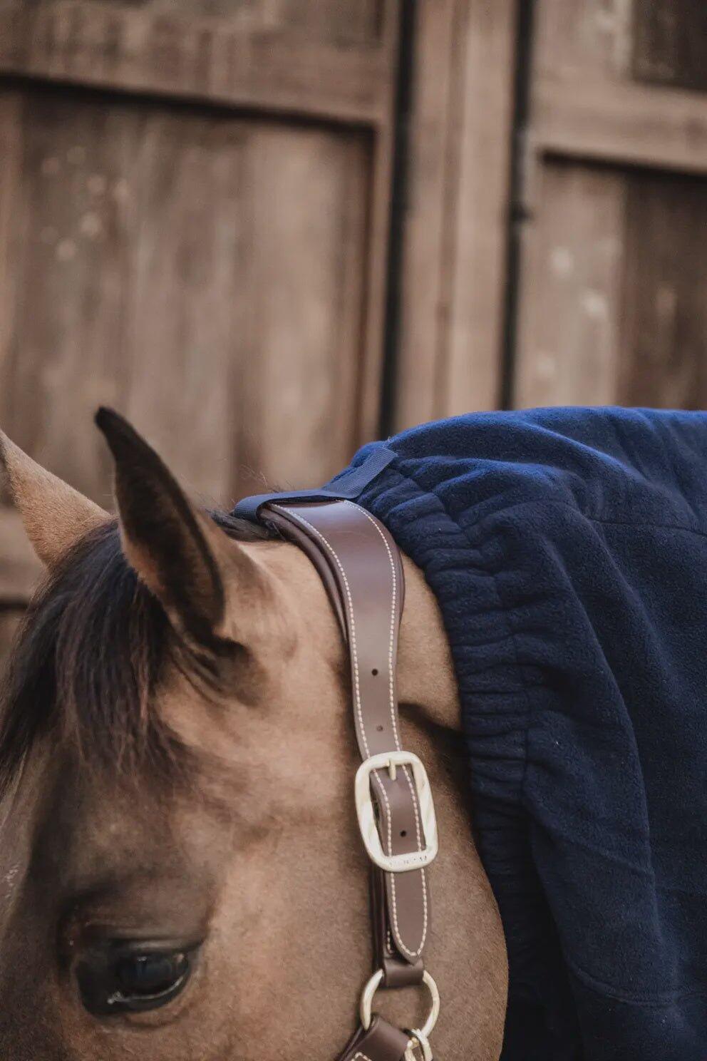 Waterproof Horse scarf classic noir Full 7/7