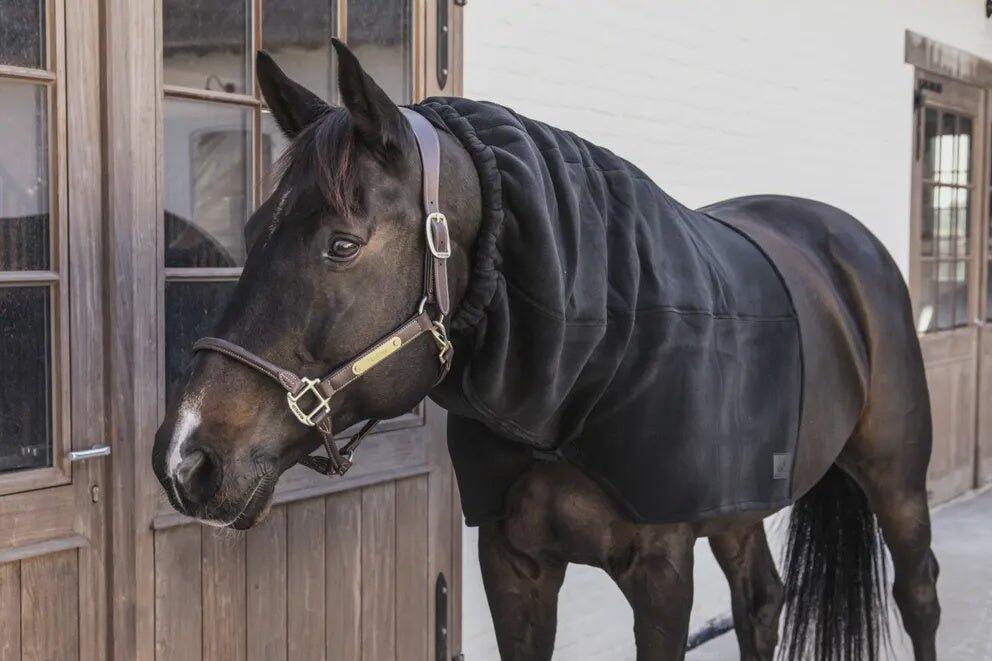 Waterproof Horse scarf classic noir Full 4/7