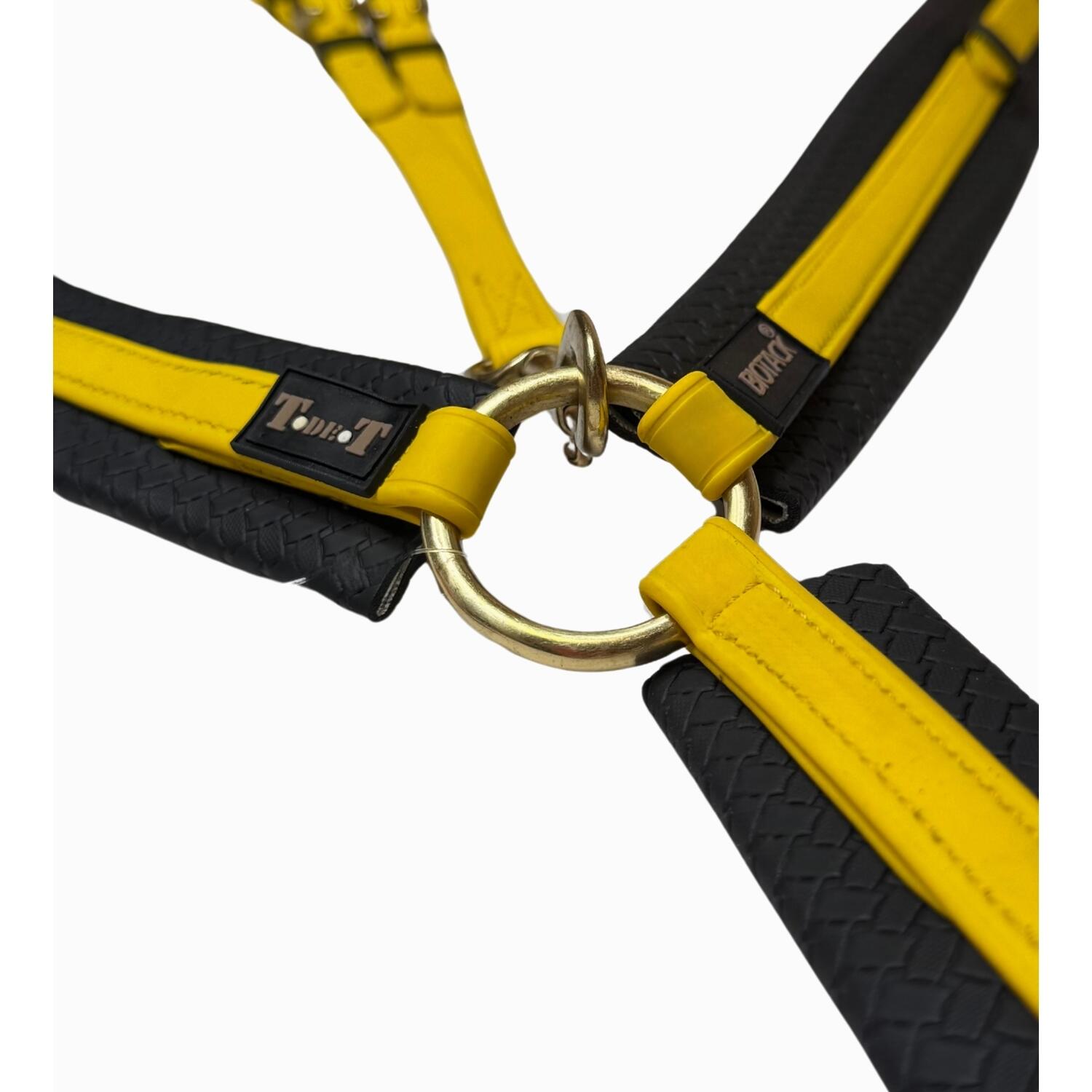 Collar de caza para caballos T de T 2/5