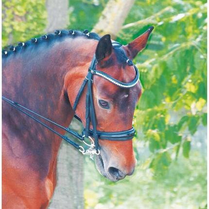 Gebisslose Trensen T de T Cezanne