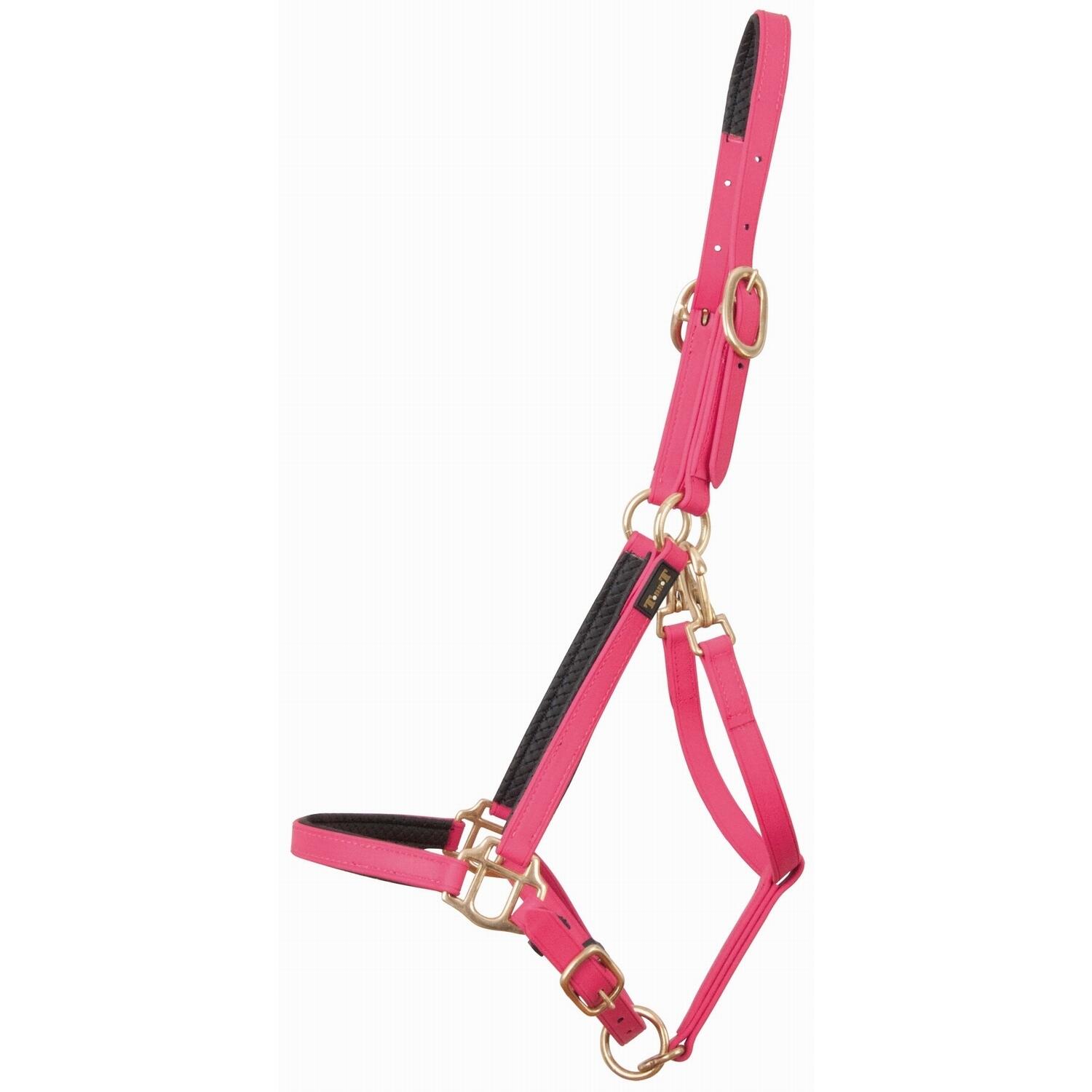 morado / rosa fucsia / rosa fucsia