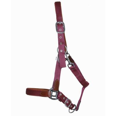 Lid voor paard van leer en riem t de t