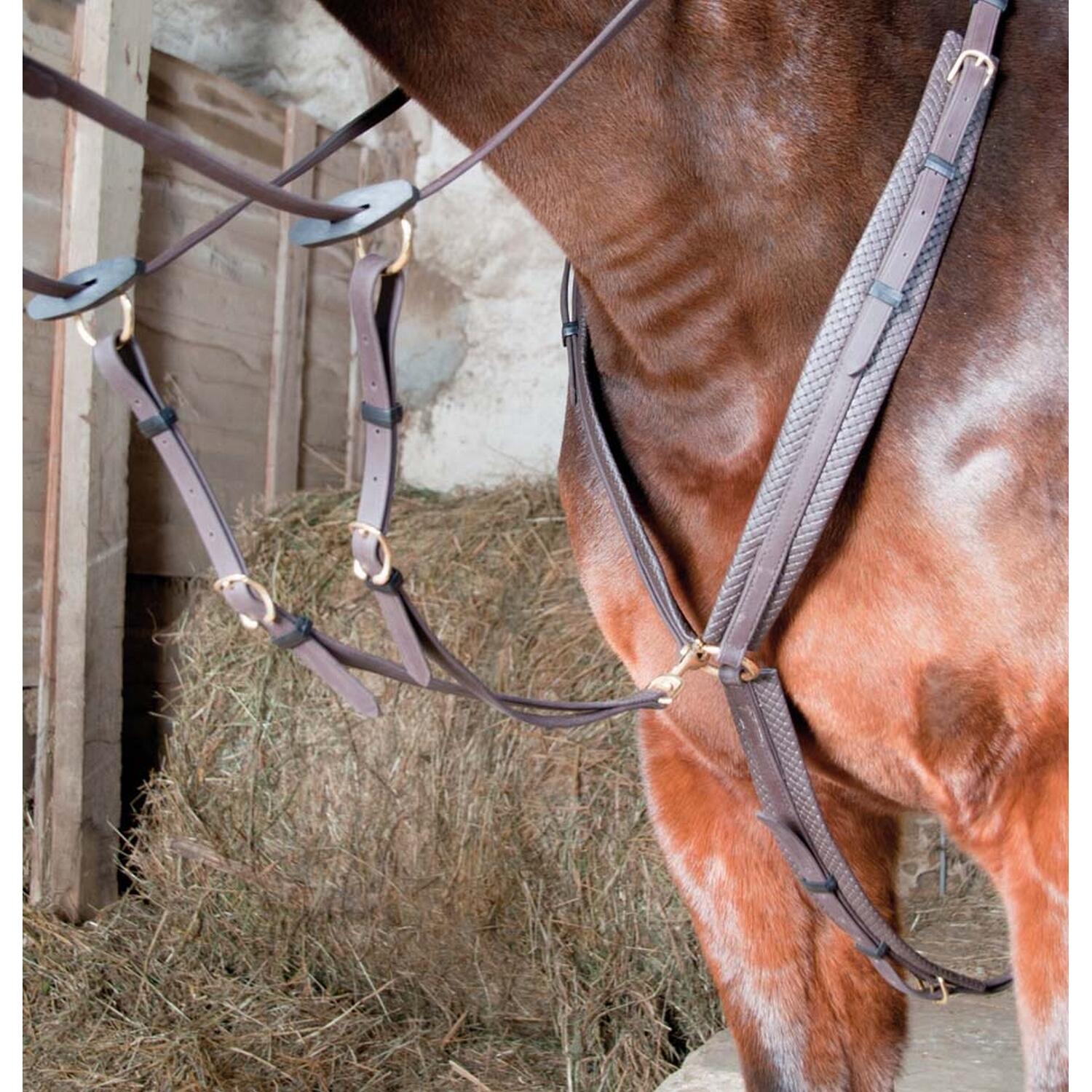 Jagdhalsband für Pferde T de T 5/5