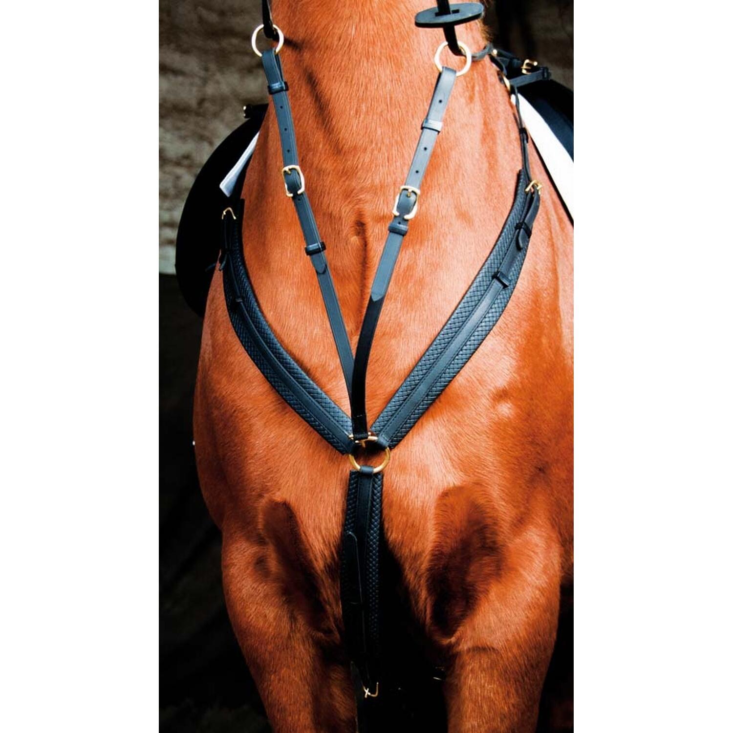 Collier de chasse pour cheval T de T 5/5