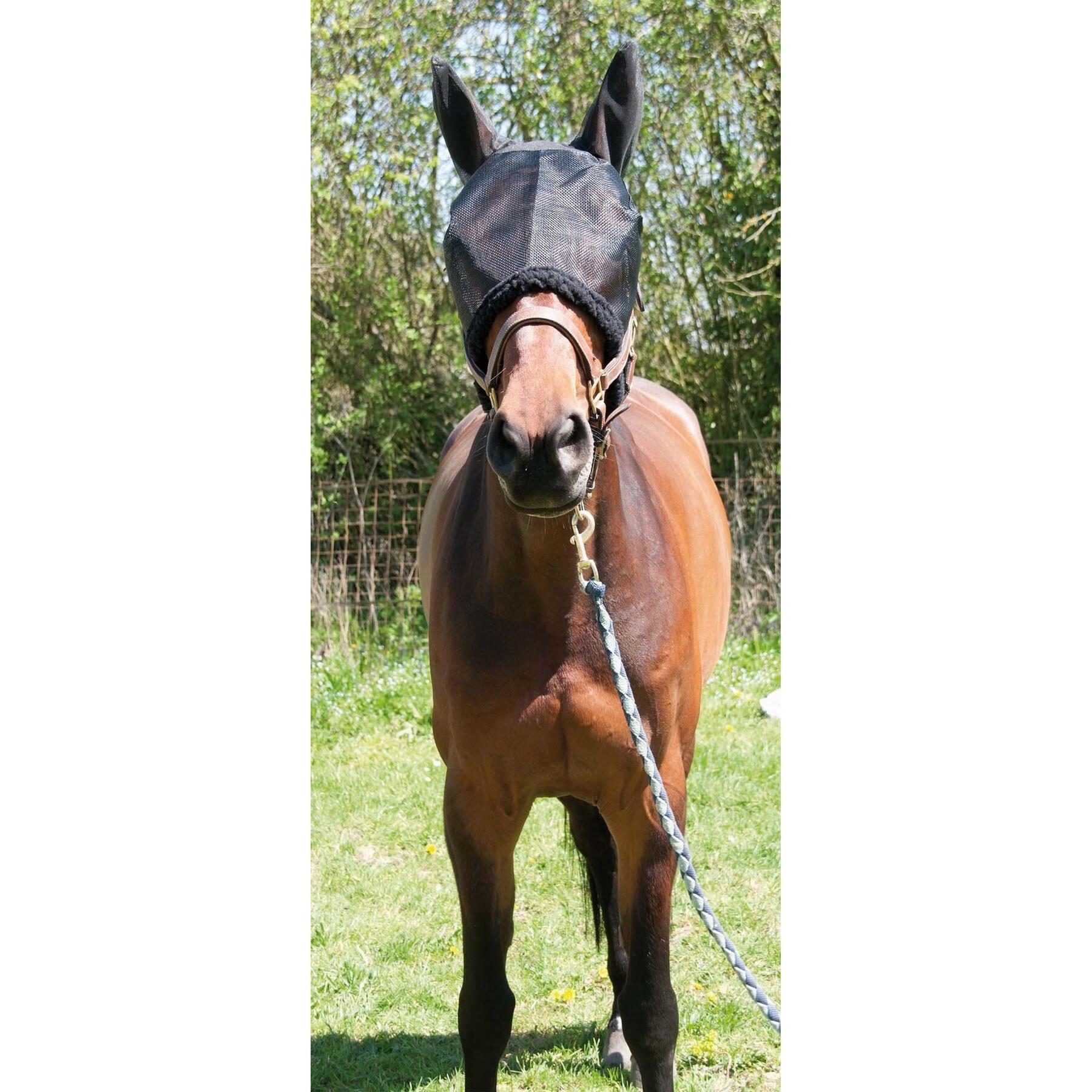 Bonnet pour cheval de pré T de T 2/2