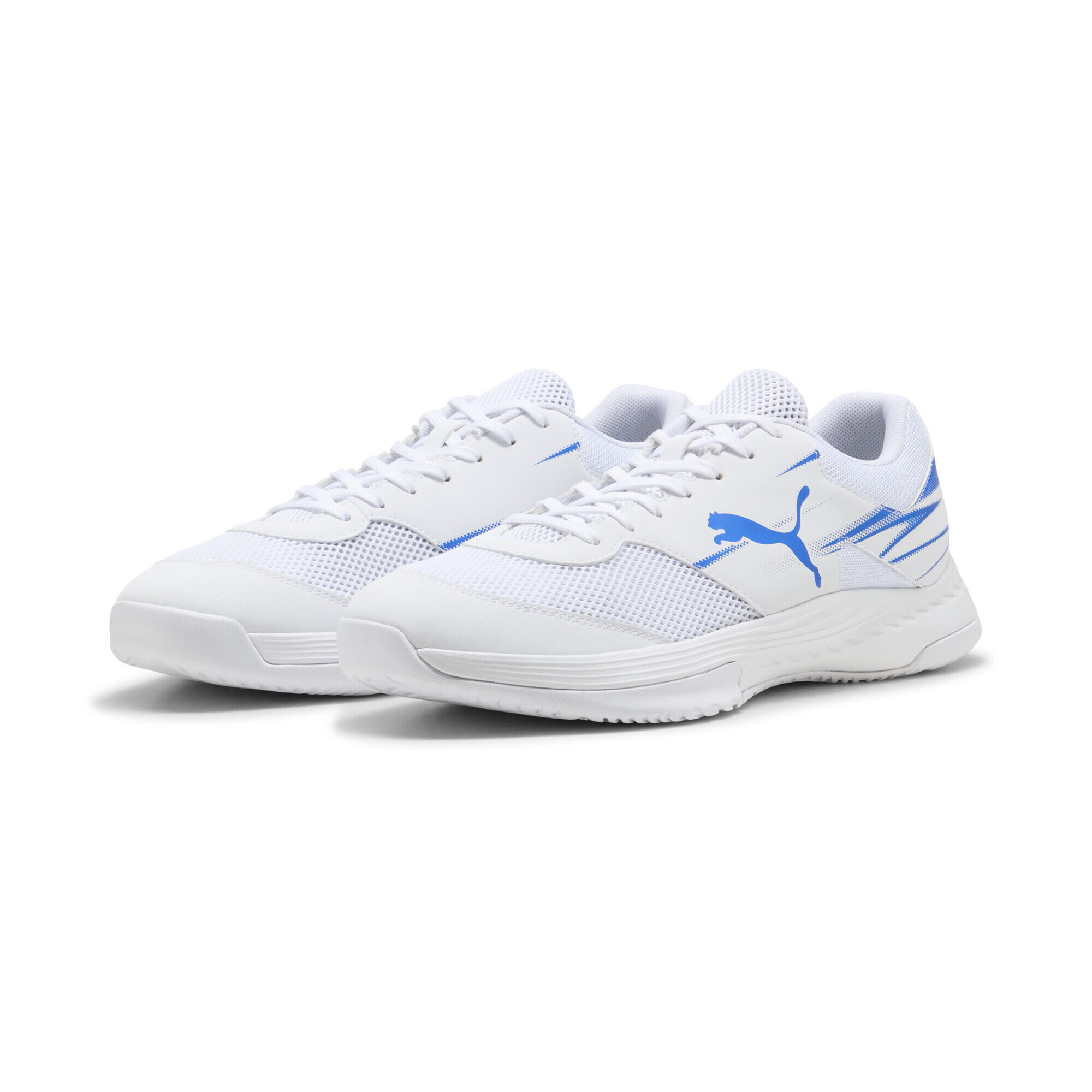 PUMA picture