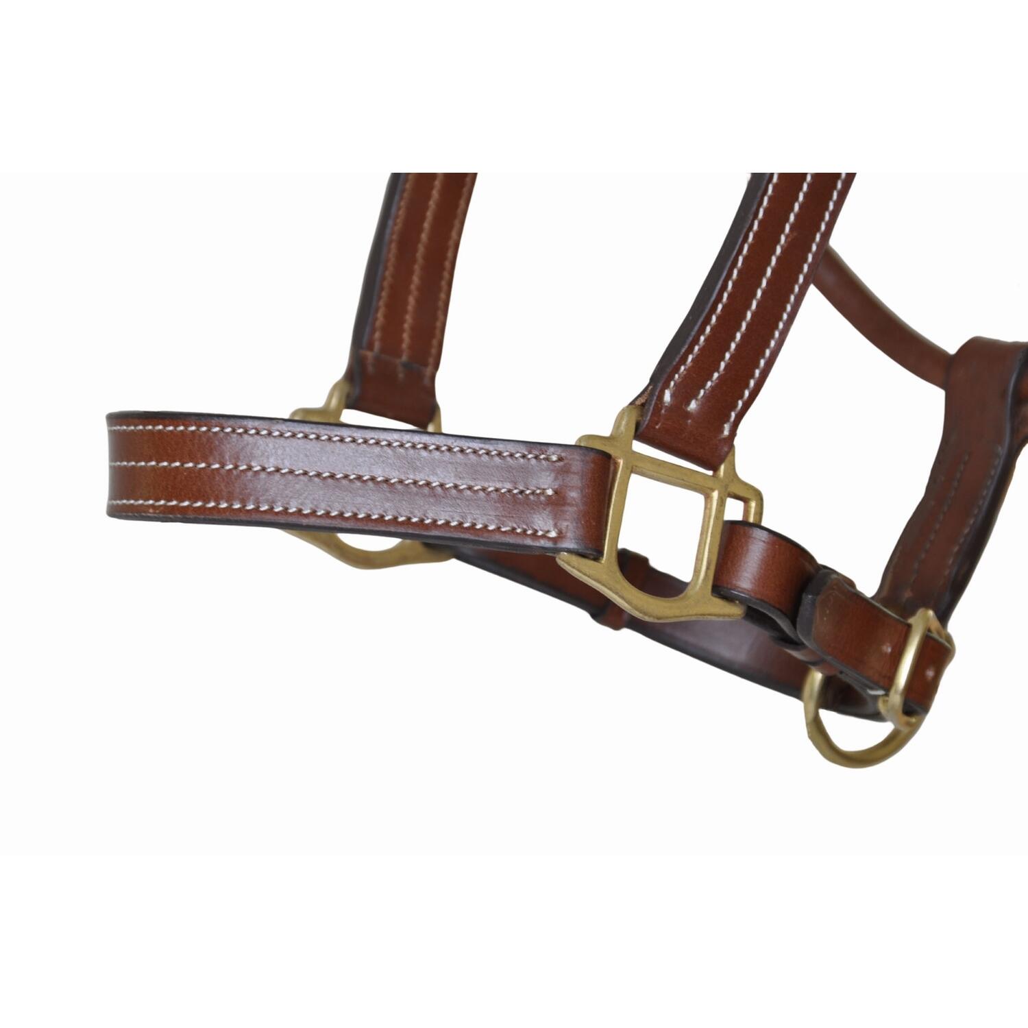 Cabestro de cuero para caballos T de T Trippled Stiched 3/5