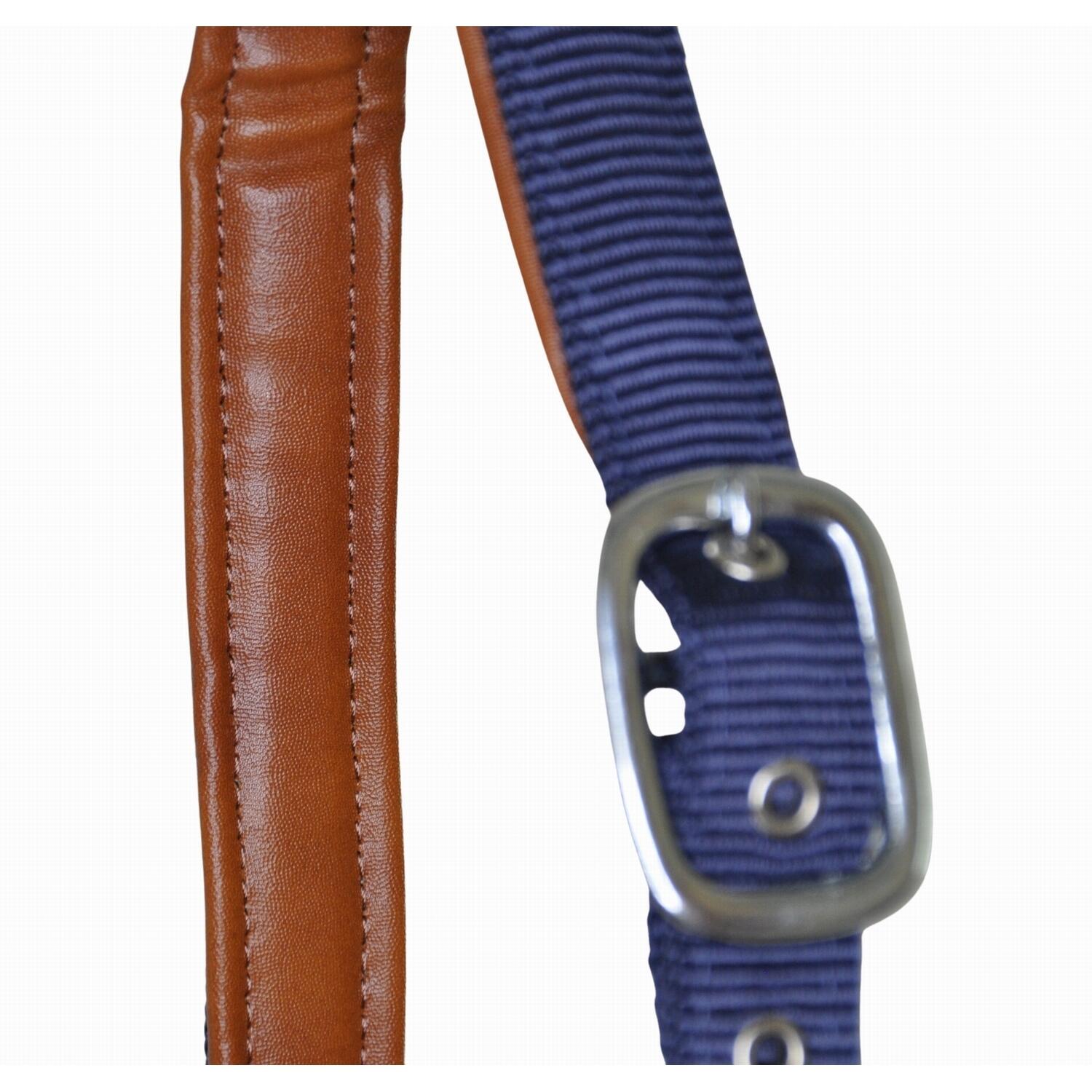 Licol pour cheval en cuir et sangle T de T 3/3