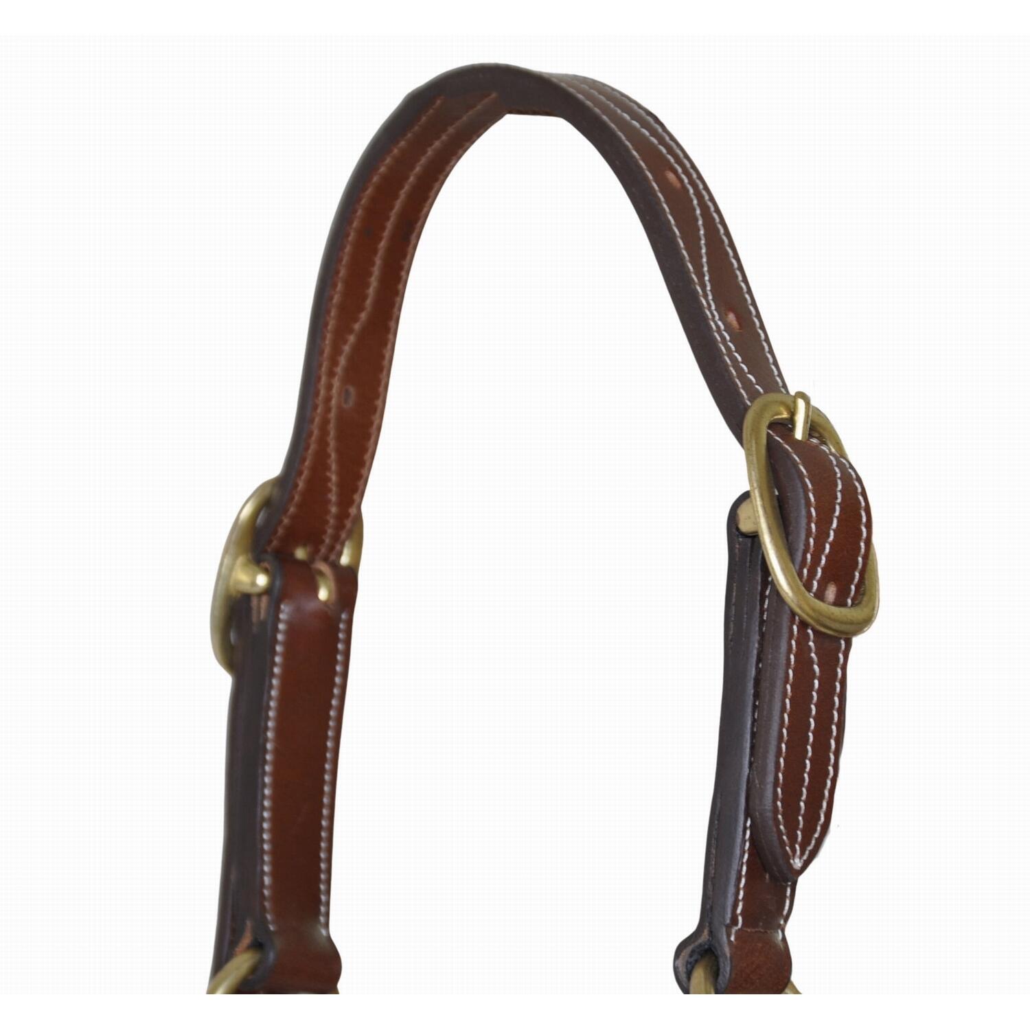 Cabestro de cuero para caballos T de T Trippled Stiched 2/5