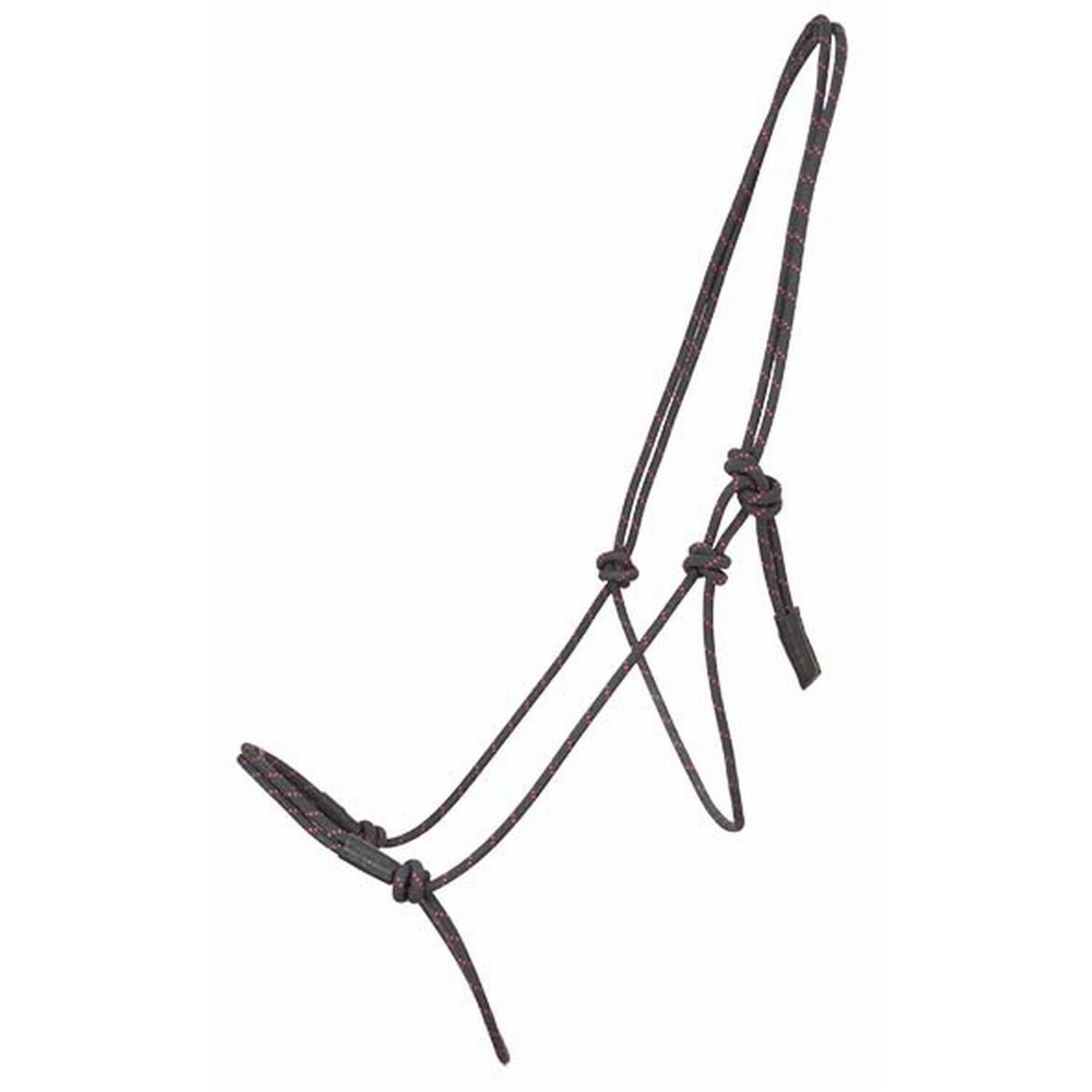 Licol pour cheval ethologique T de T Pro 1/2