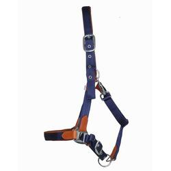 Licol pour cheval en cuir et sangle T de T