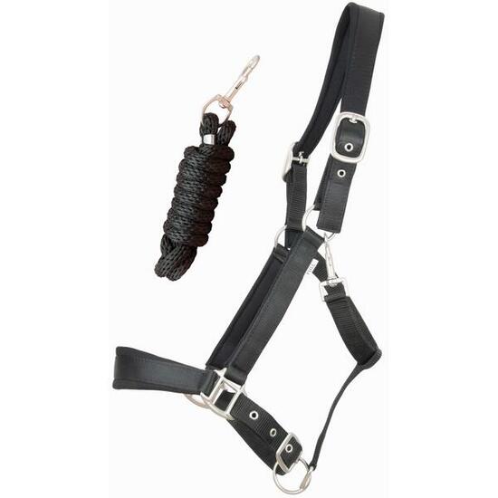 Satin Pferdehalfter mit rundem Führstrick T de T