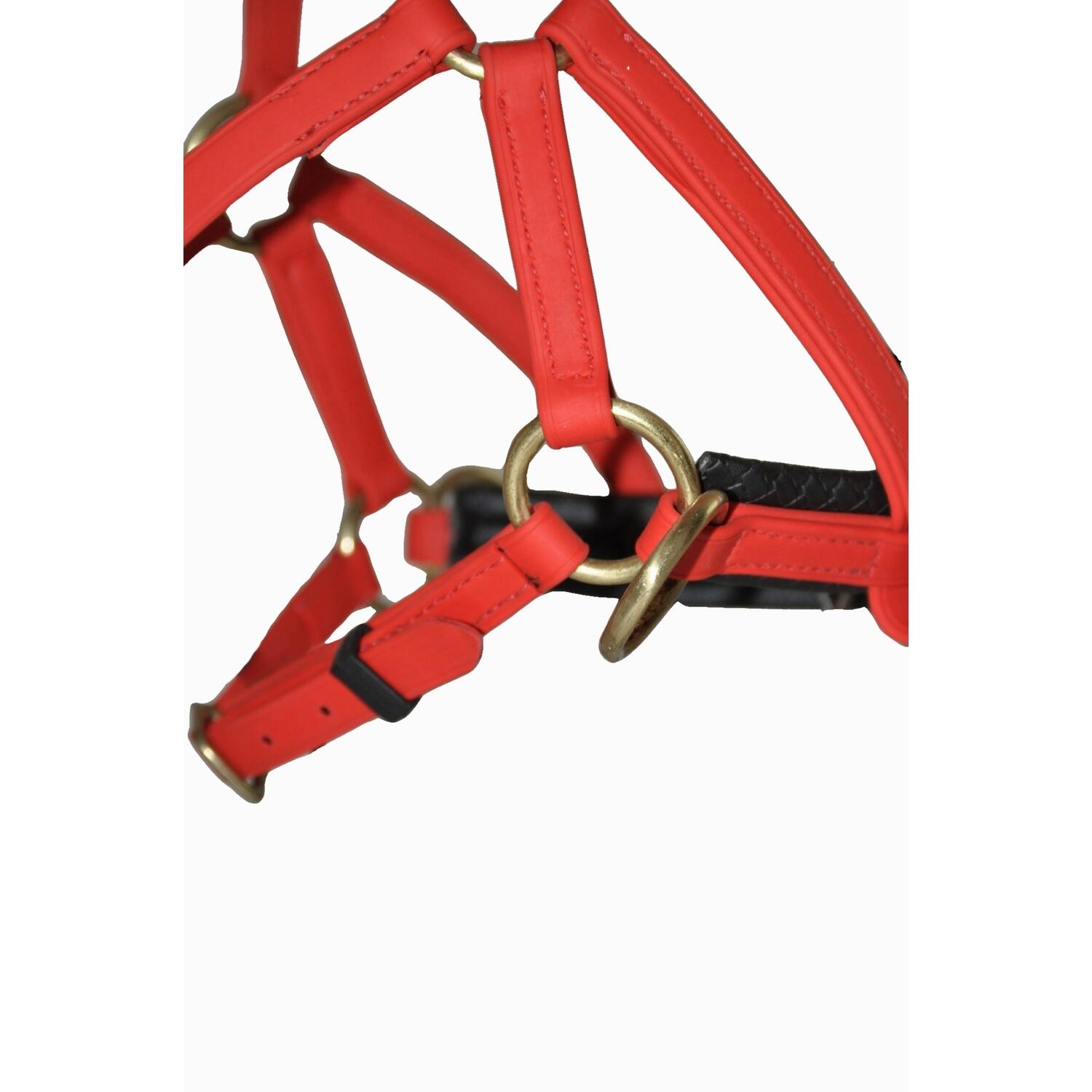 Bridas de montar T de T Sidepull Biotack® 3/3