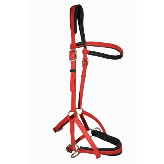 Uzda jeździecka T de T Sidepull Biotack®