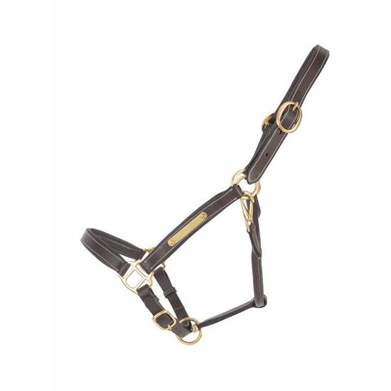 Licol pour cheval en cuir avec plaque T de T