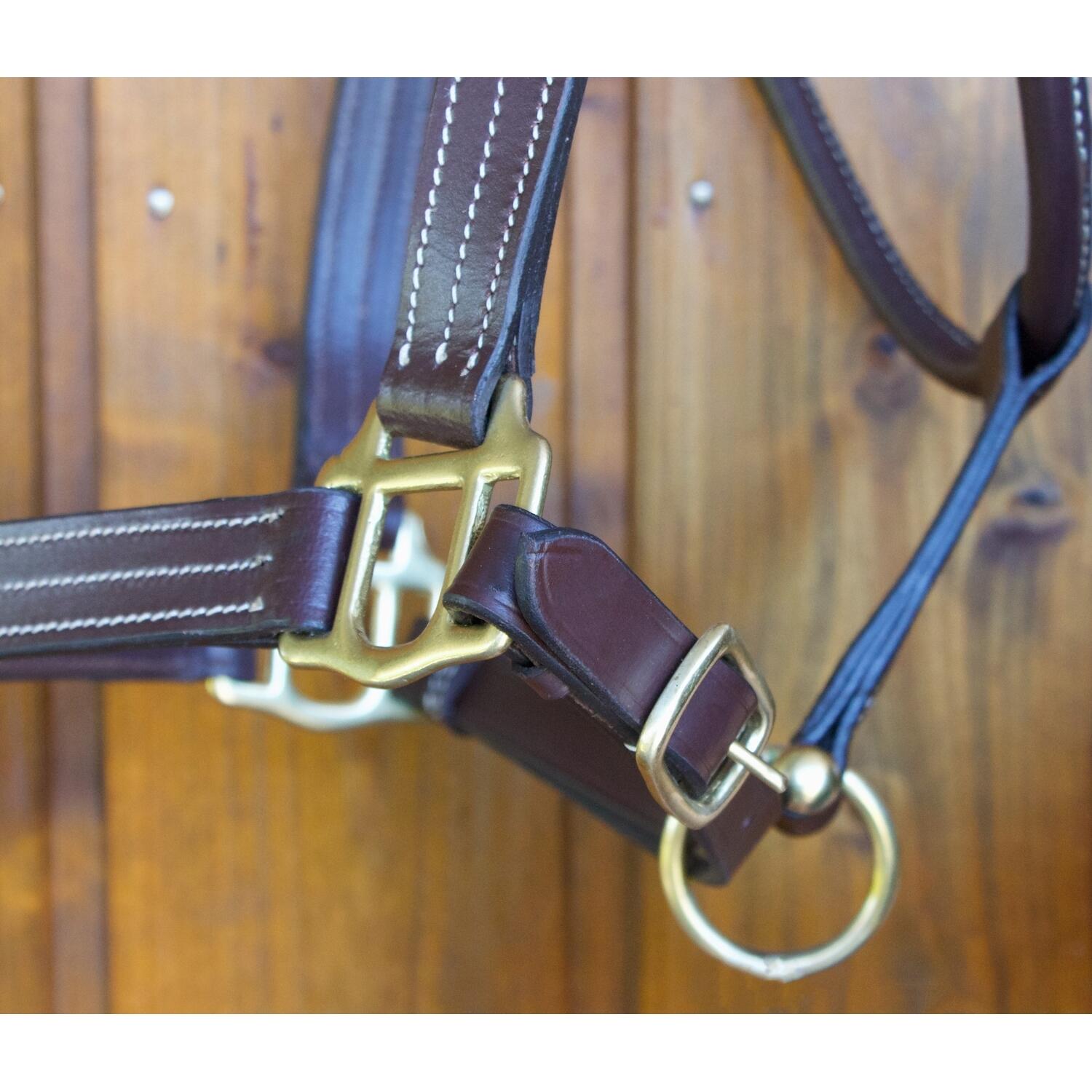 Cabestro de cuero para caballos T de T Trippled Stiched 4/5