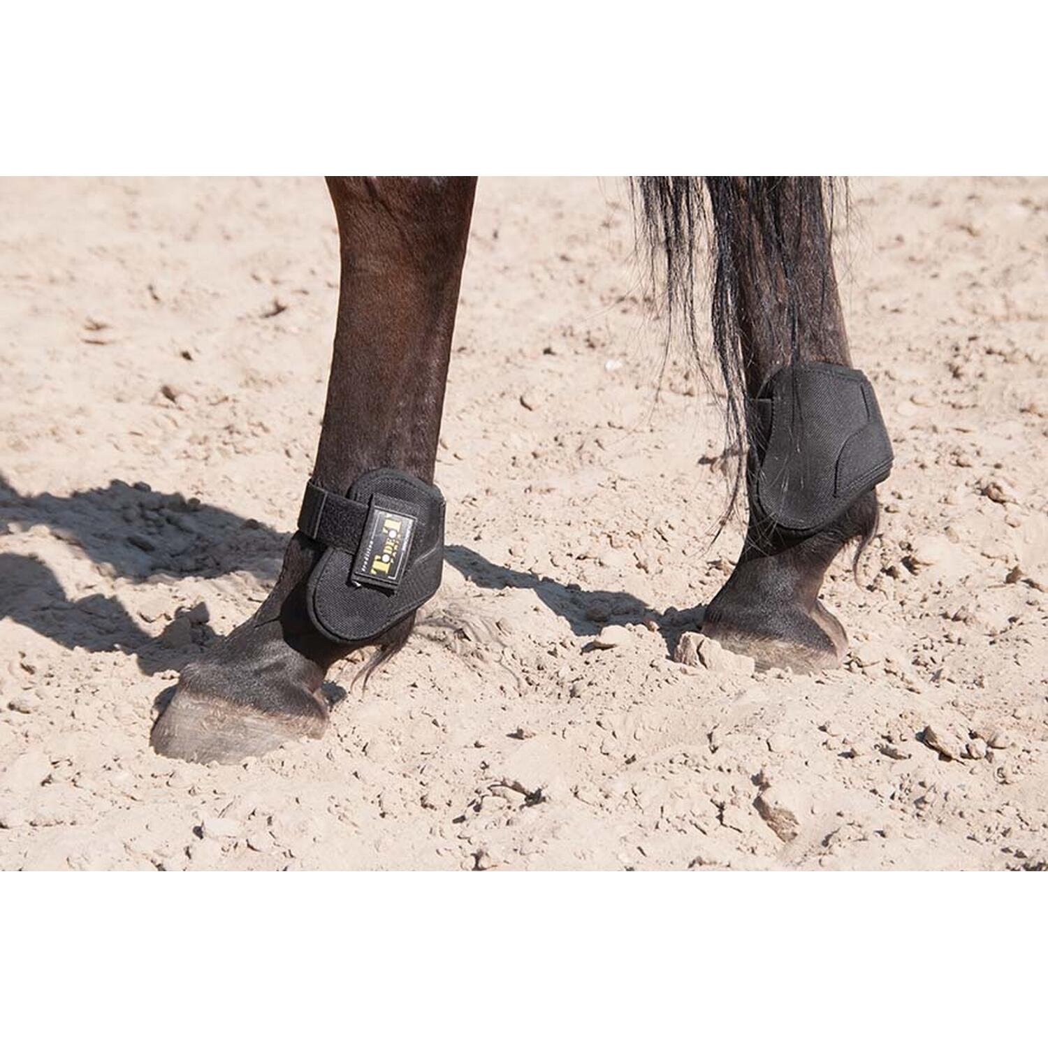 Full horse ankle boots T de T 3/3