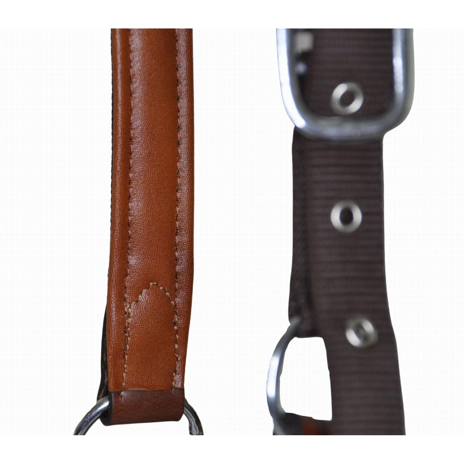 Licol pour cheval en cuir et sangle T de T 3/3