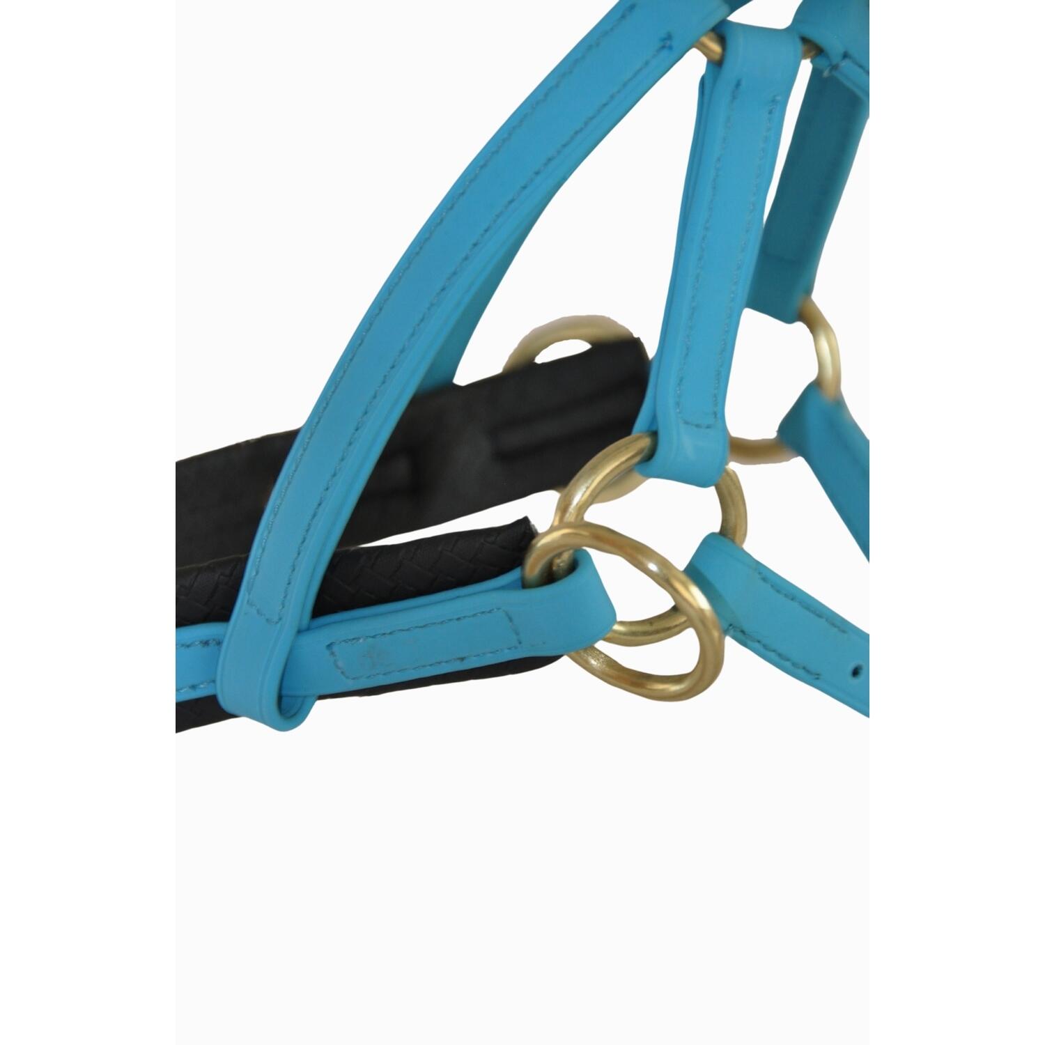 Bridas de montar T de T Sidepull Biotack® 3/3