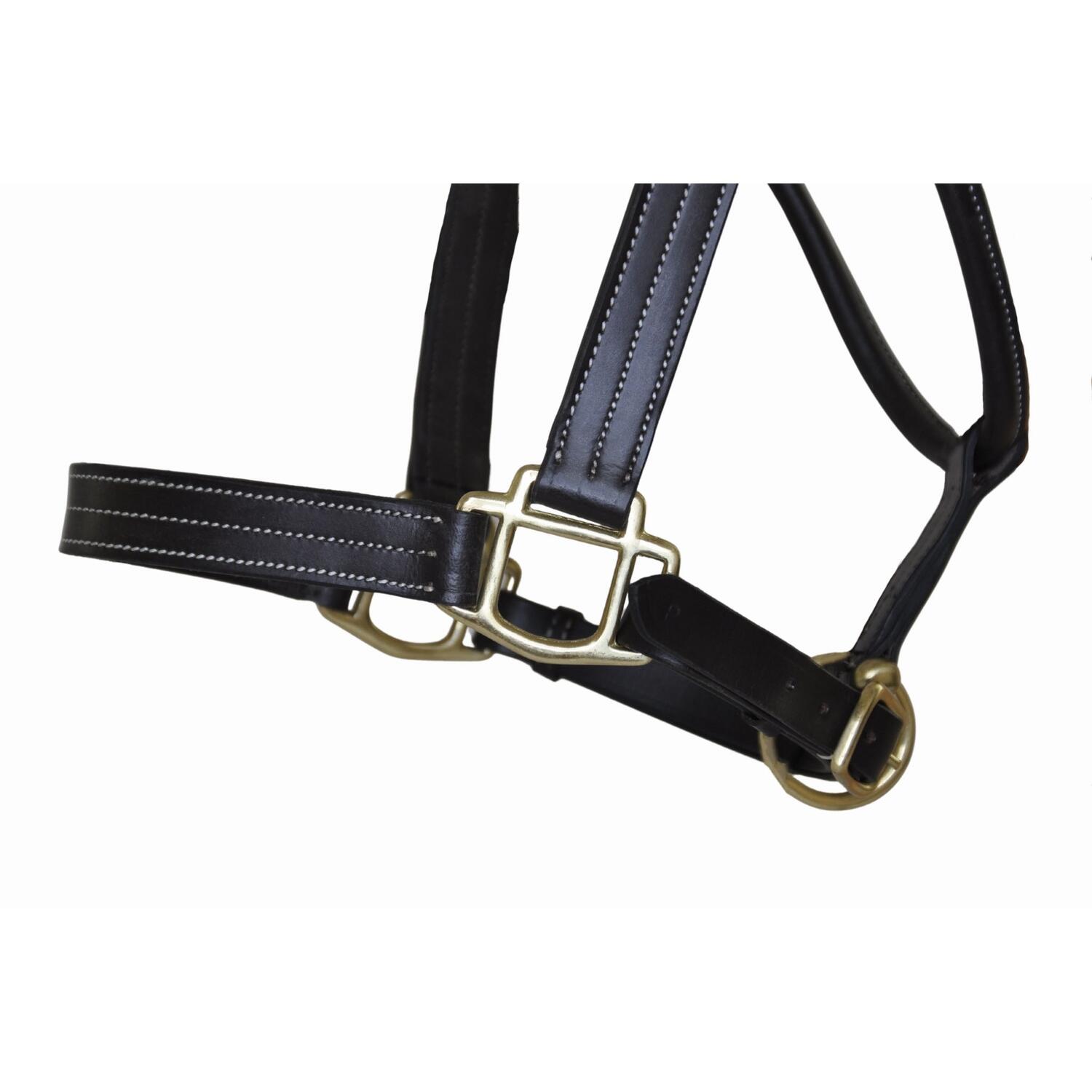 Cabestro de cuero para caballos T de T Trippled Stiched 3/4