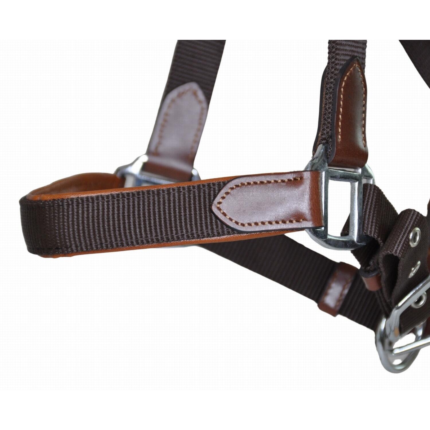Licol pour cheval en cuir et sangle T de T 2/3