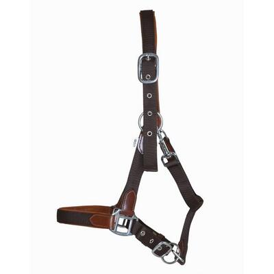 Lid voor paard van leer en riem t de t