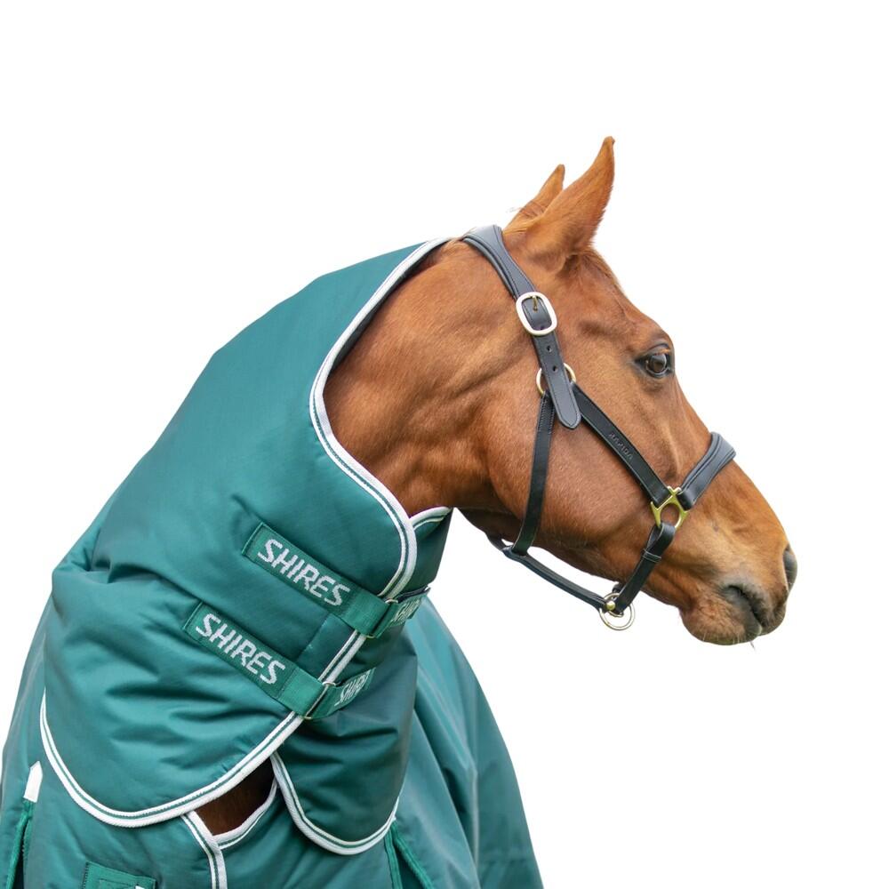 Couvrecou Pour Chevaux HIGHLANDER ORIGINAL (Vert) 1/2