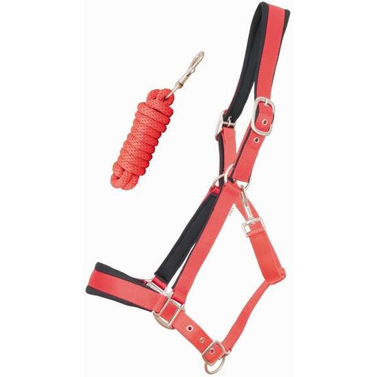 Satin Pferdehalfter mit rundem Führstrick T de T