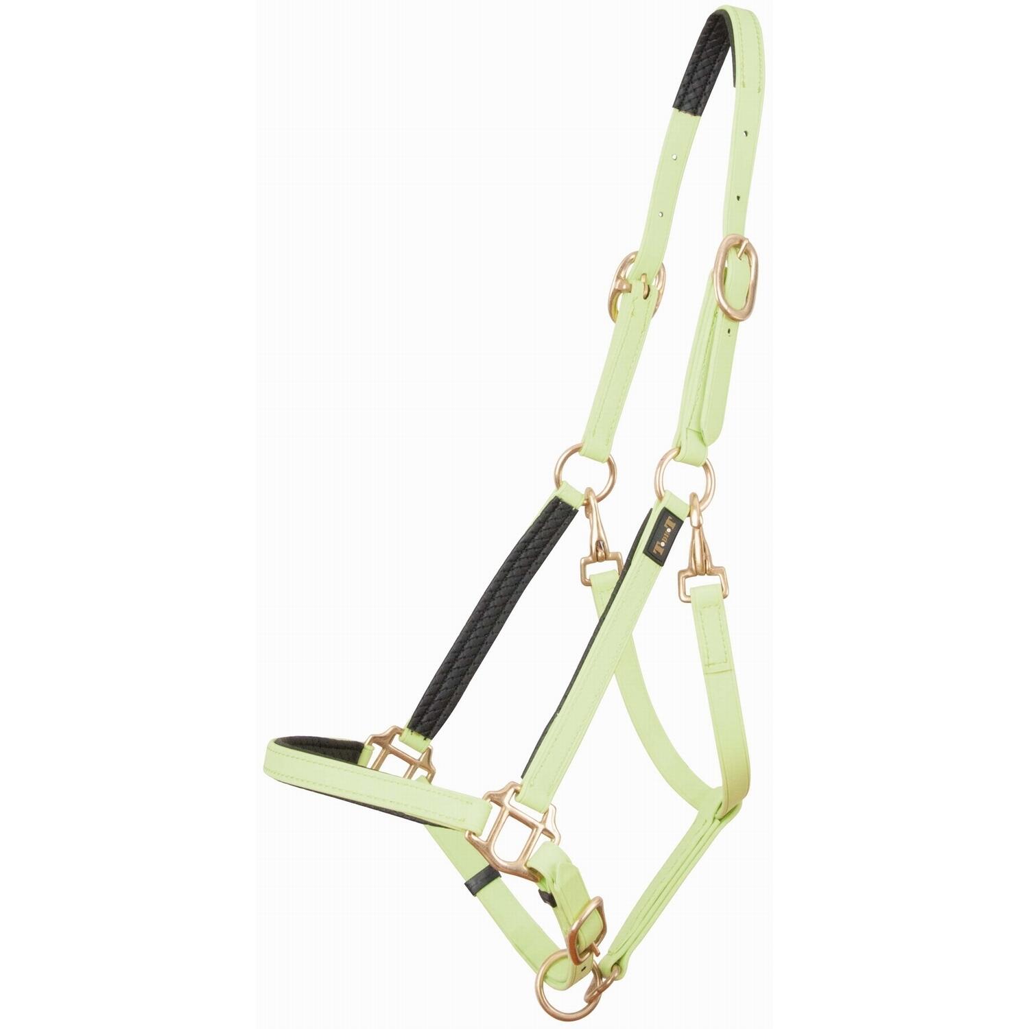T De T - Licol Pour Cheval T De T Biotack® - Licol - Vert - Cs - Decathlon
