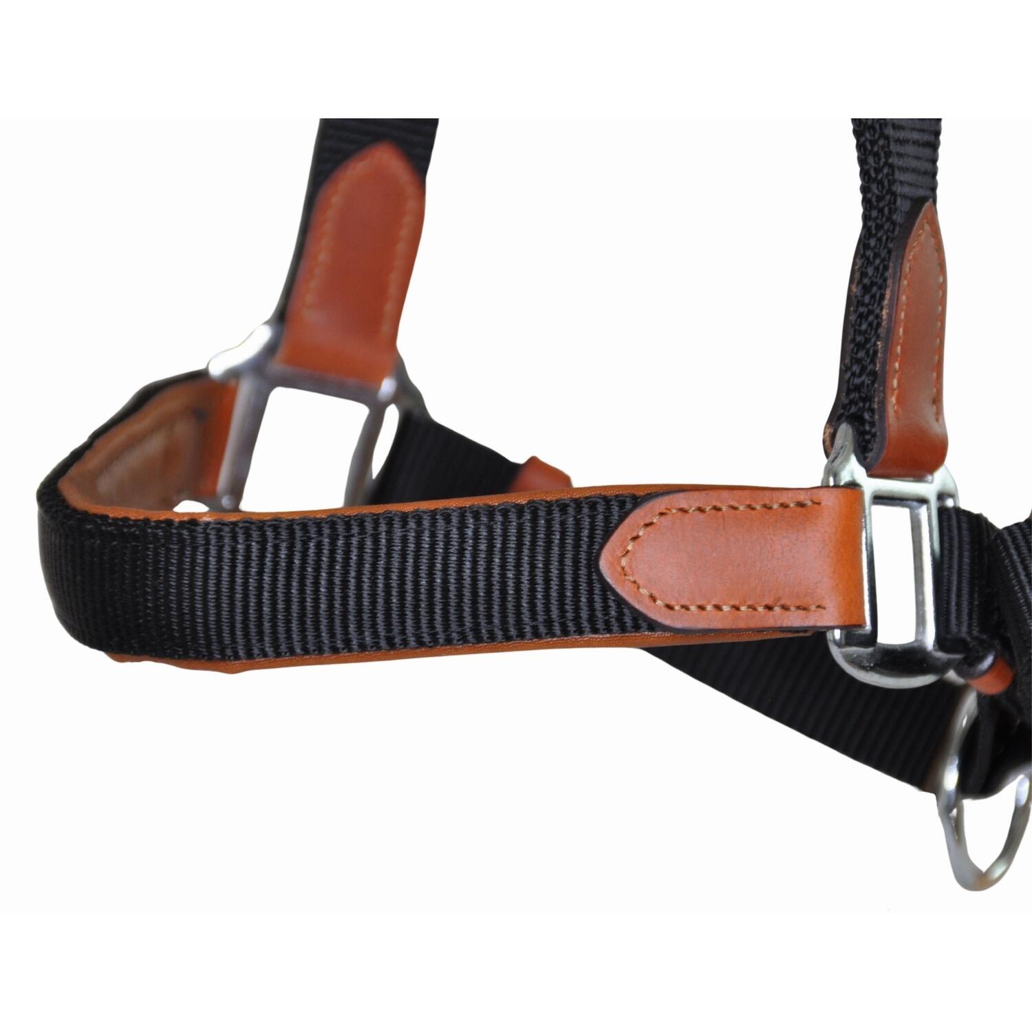 Lid voor paard van leer en riem T de T 2/3