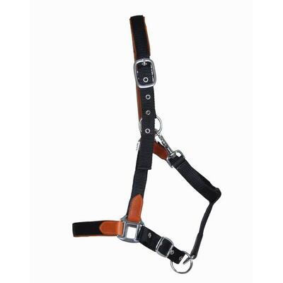 Lid voor paard van leer en riem t de t