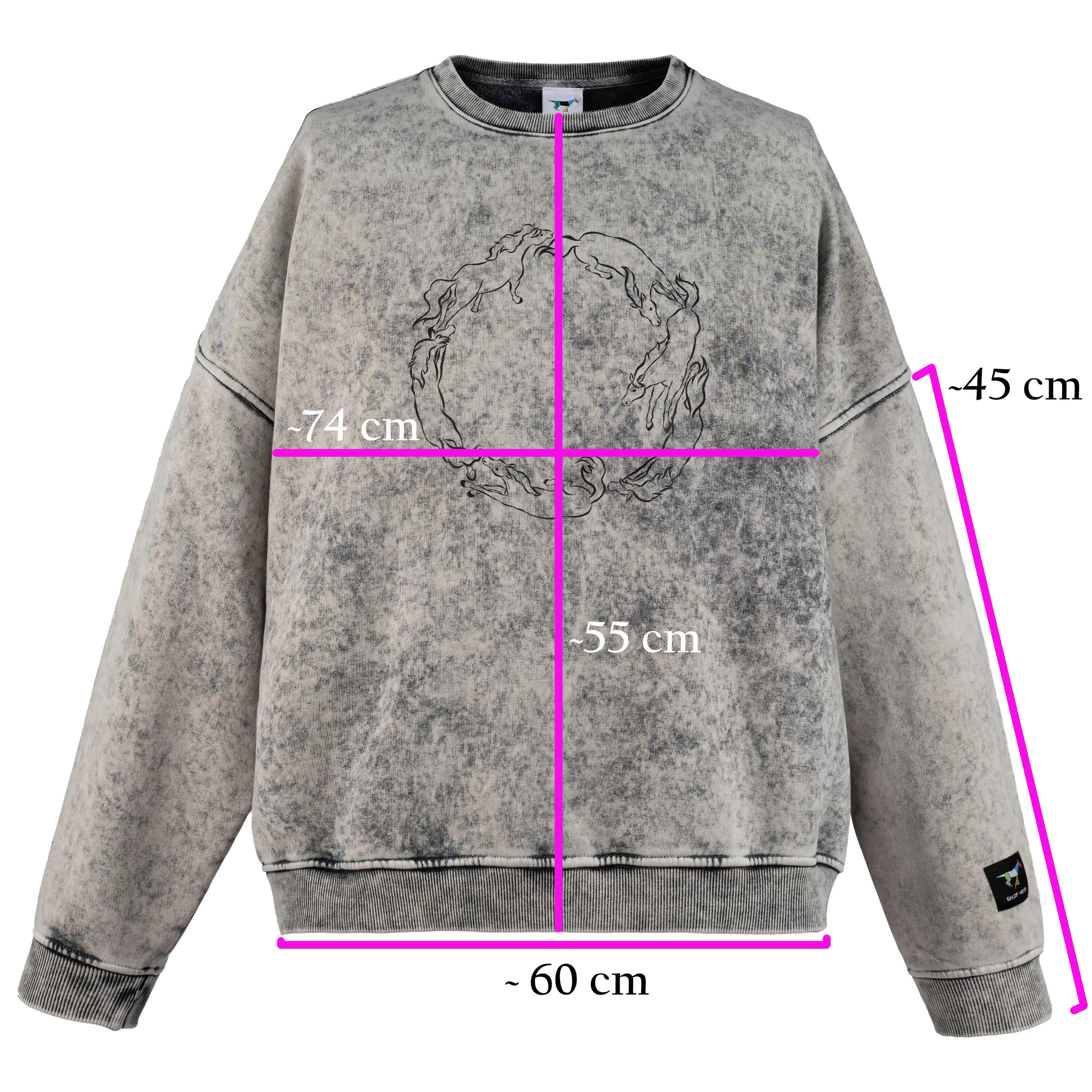 Sweat-shirt GALOP WEAR Wild Motion avec motif chevaux 7/7