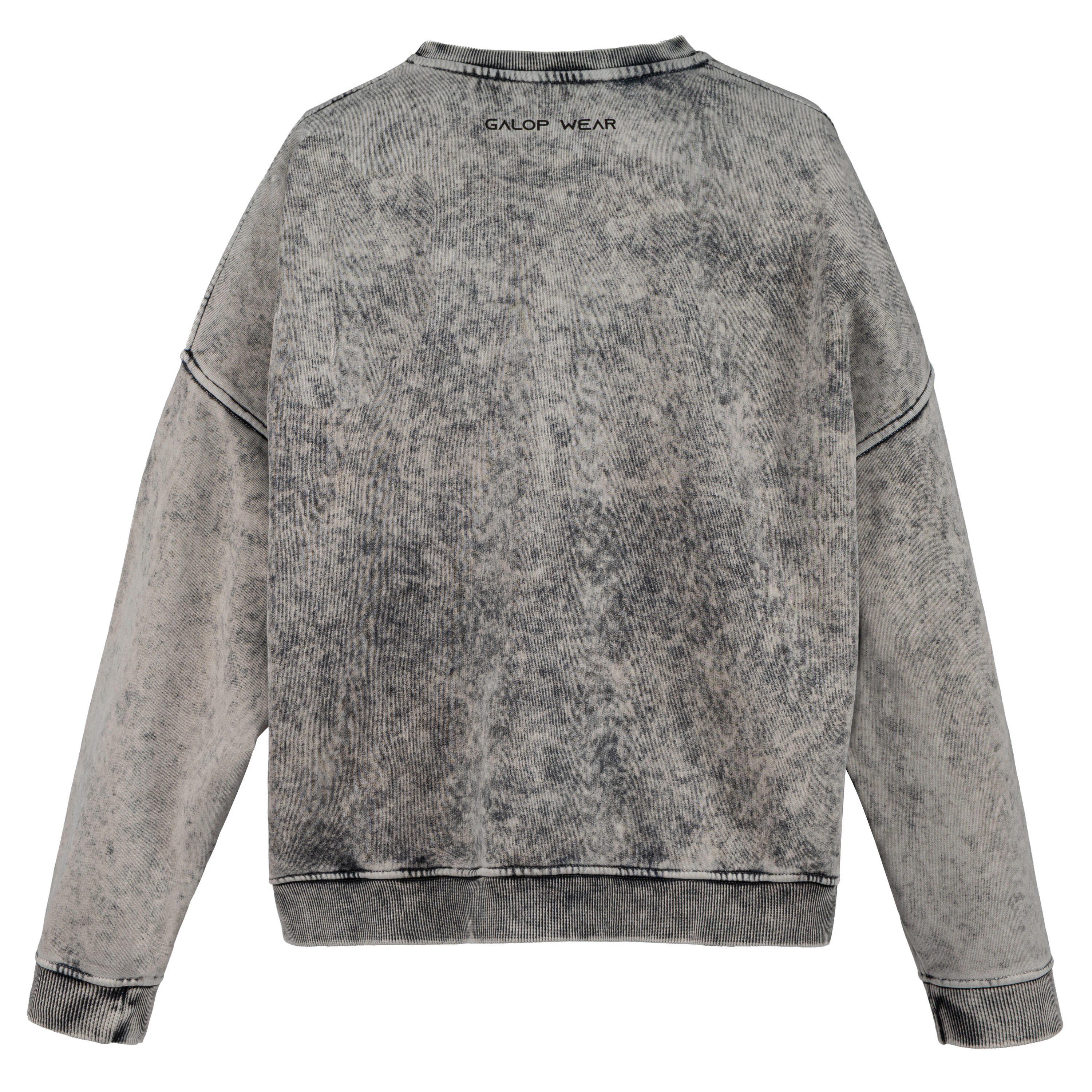 Sweat-shirt GALOP WEAR Wild Motion avec motif chevaux 6/7