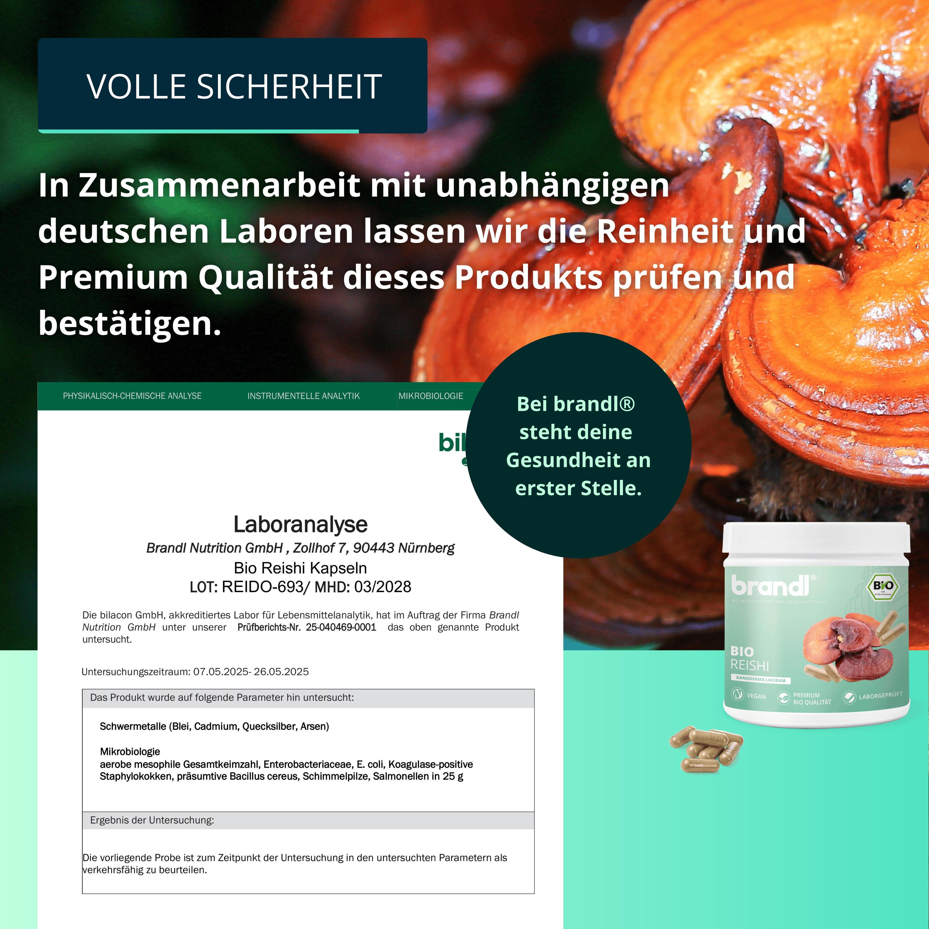 brandl® Bio Reishi Vitalpilz 6/6