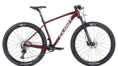 BICICLETTA CLOOT 29" CARBONO EVOLUTION 9.1 SHIMANO 12V