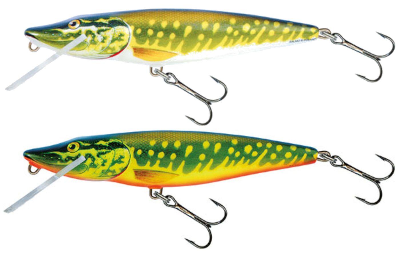 SALMO picture
