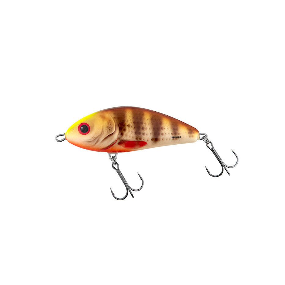 SALMO picture