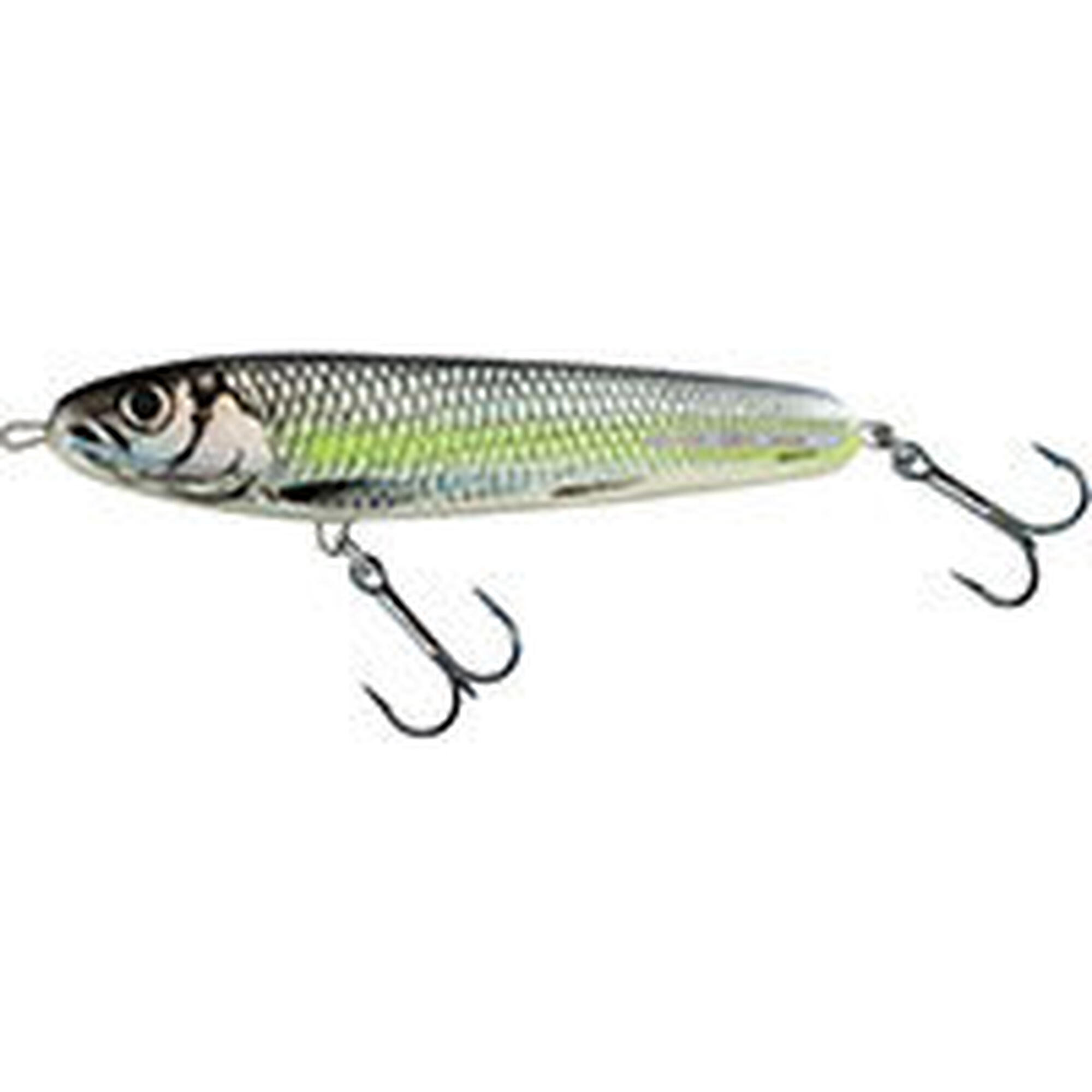 SALMO picture