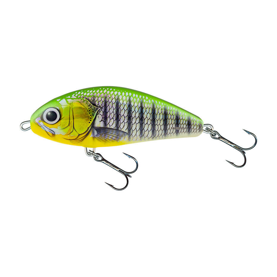 SALMO picture