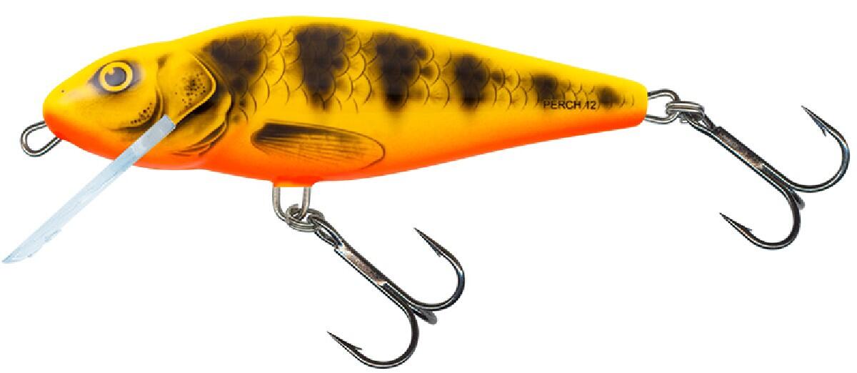 SALMO picture