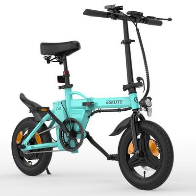 Bicicletta elettrica pieghevole ESKUTE F100 250W 36V 9Ah Batteria 14 pollici