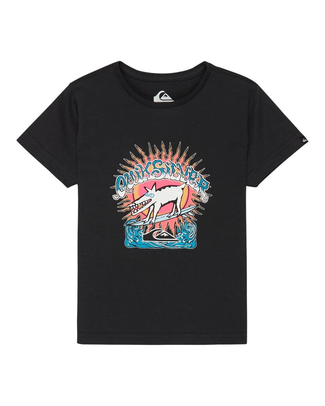 QUIKSILVER picture