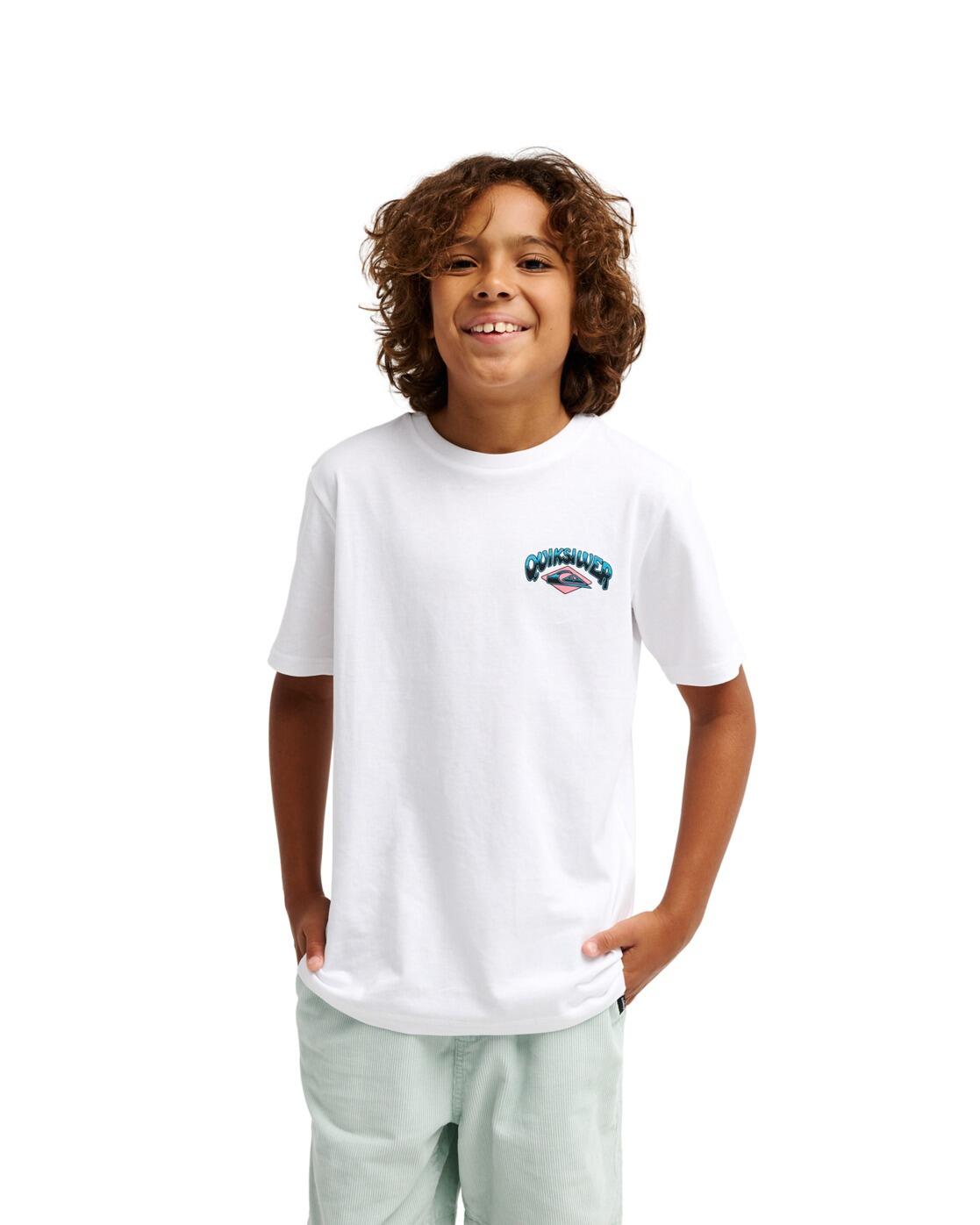 QUIKSILVER picture